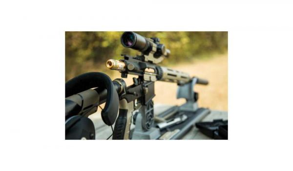 AR-15 Bore Guide Delta in a rifle